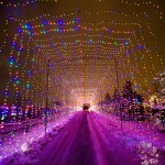 Country Christmas Trail