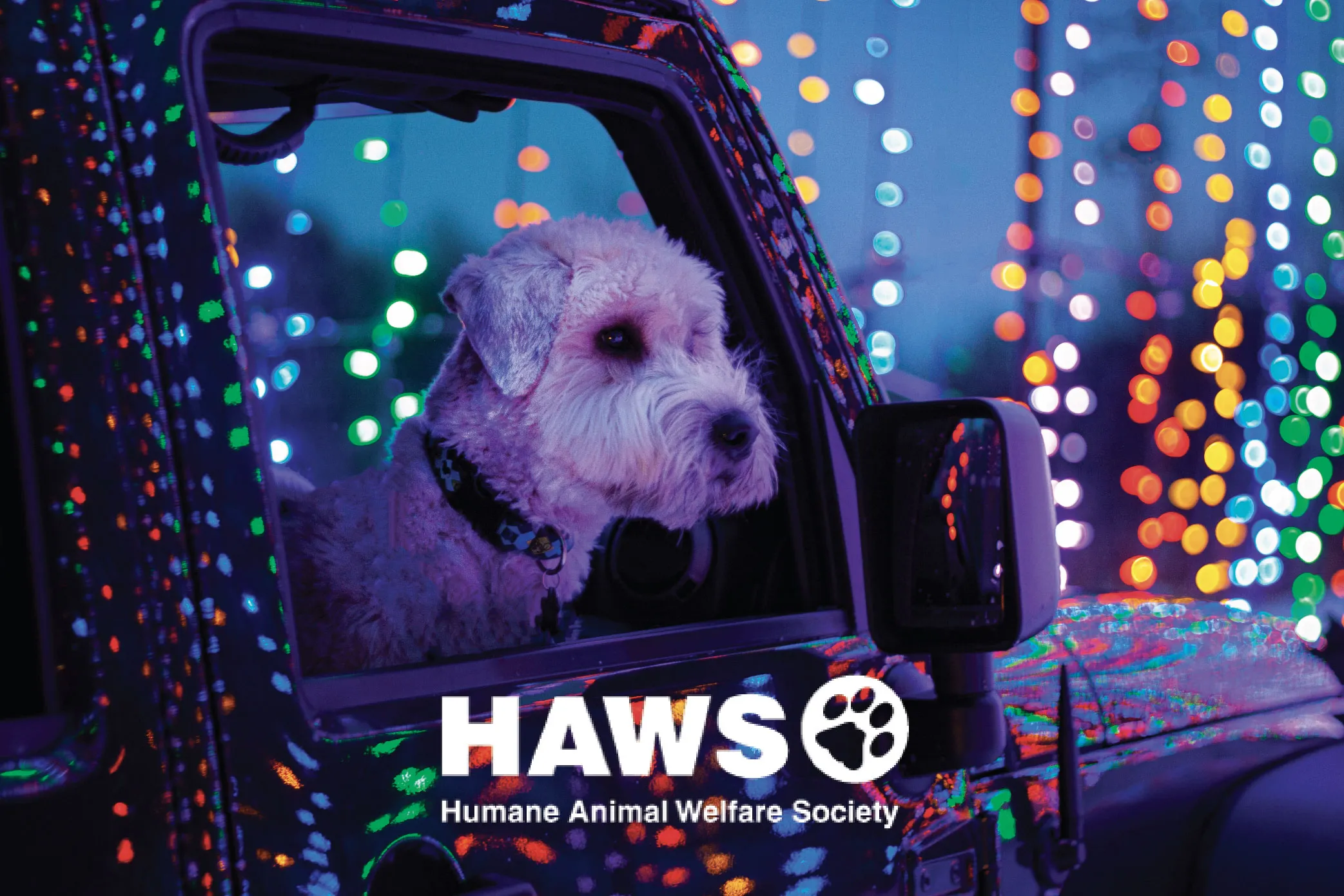 Country Christmas Website haws event-06