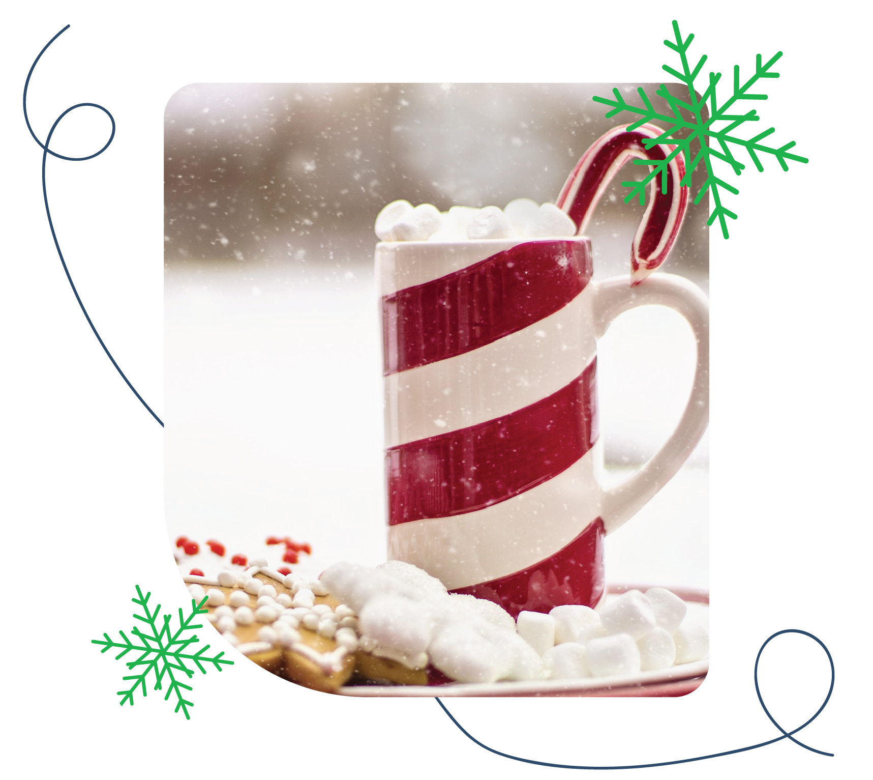 Country Christmas Website packages-32